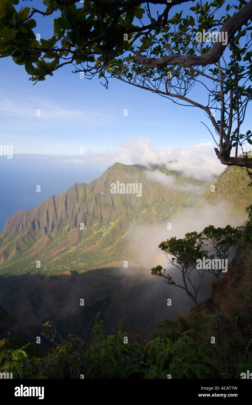 Kalalau Lookout Kokee Stae Park Kauai Hawaii Stock Photo Alamy