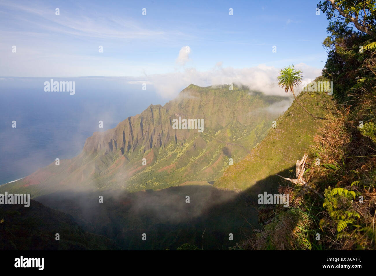 Kalalau Lookout Kokee Stae Park Kauai Hawaii Stock Photo Alamy