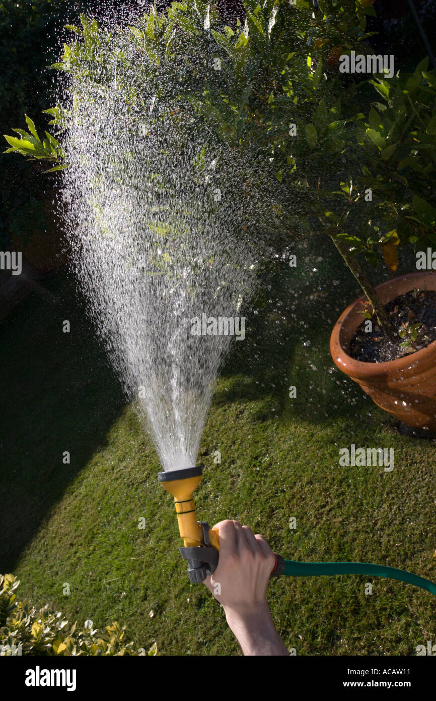 Watering plants in the summer with a hosepipe Stock Photo Alamy