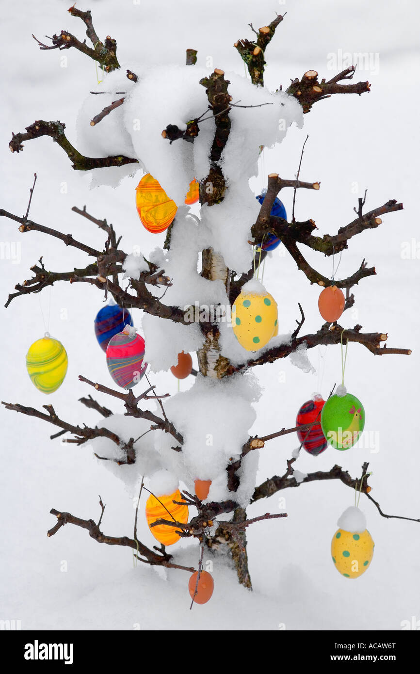 Snow covered Easter tree with eggs Stock Photo Alamy
