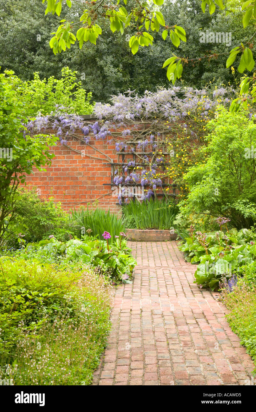 Wisteria Restored Victorian walled garden at Norton Priory Cheshire UK Stock Photo