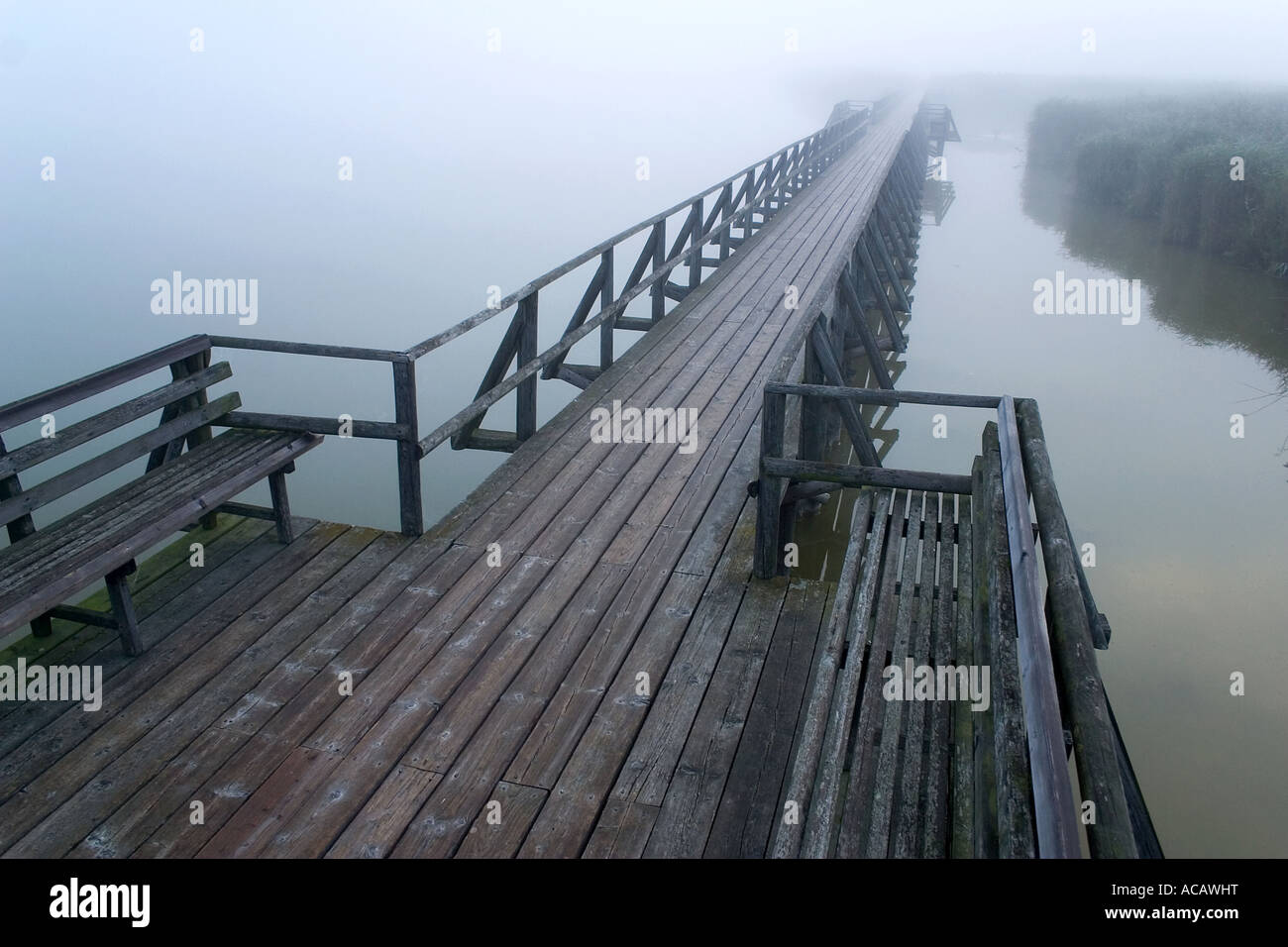 Pier at the Federsee in a mist, Bad Buchau, Upper Swabia, Baden-Wuerttemberg, Germany Stock Photo