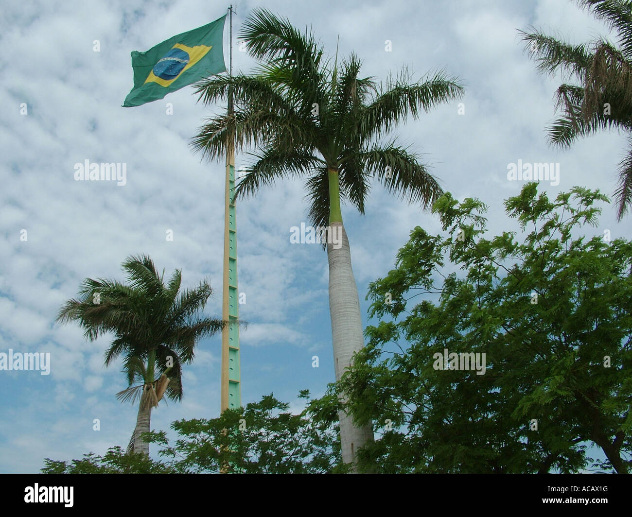 Brasilian national flag 'ordem e progesso' between palms Stock Photo