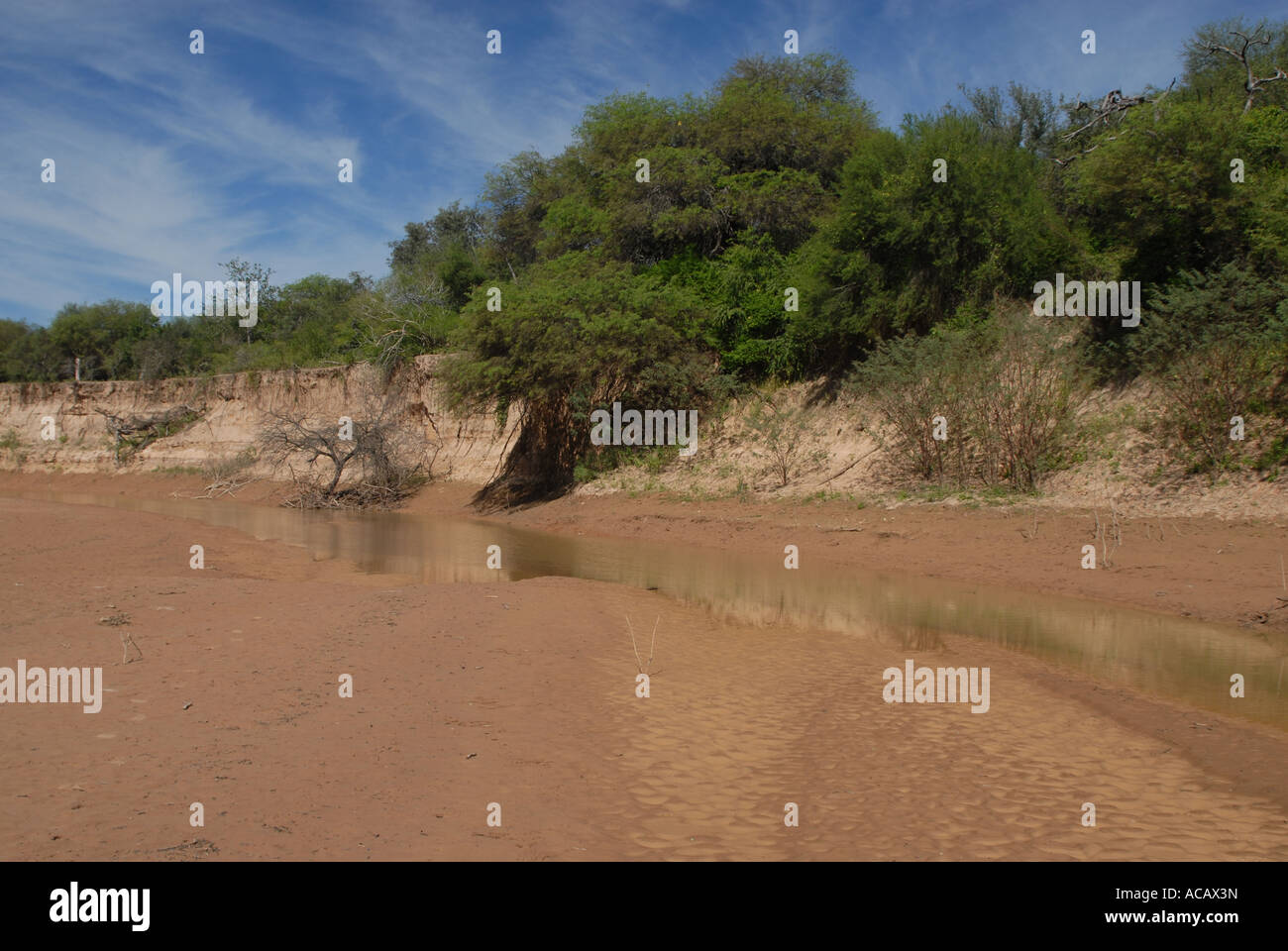 Dry time at Rio Pilcomayo, the river is shrunken to a stream, Gran Chaco, Paraguay Stock Photo