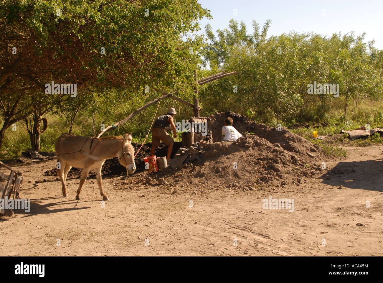 Building a well with donkey's power, Paraguay Stock Photo