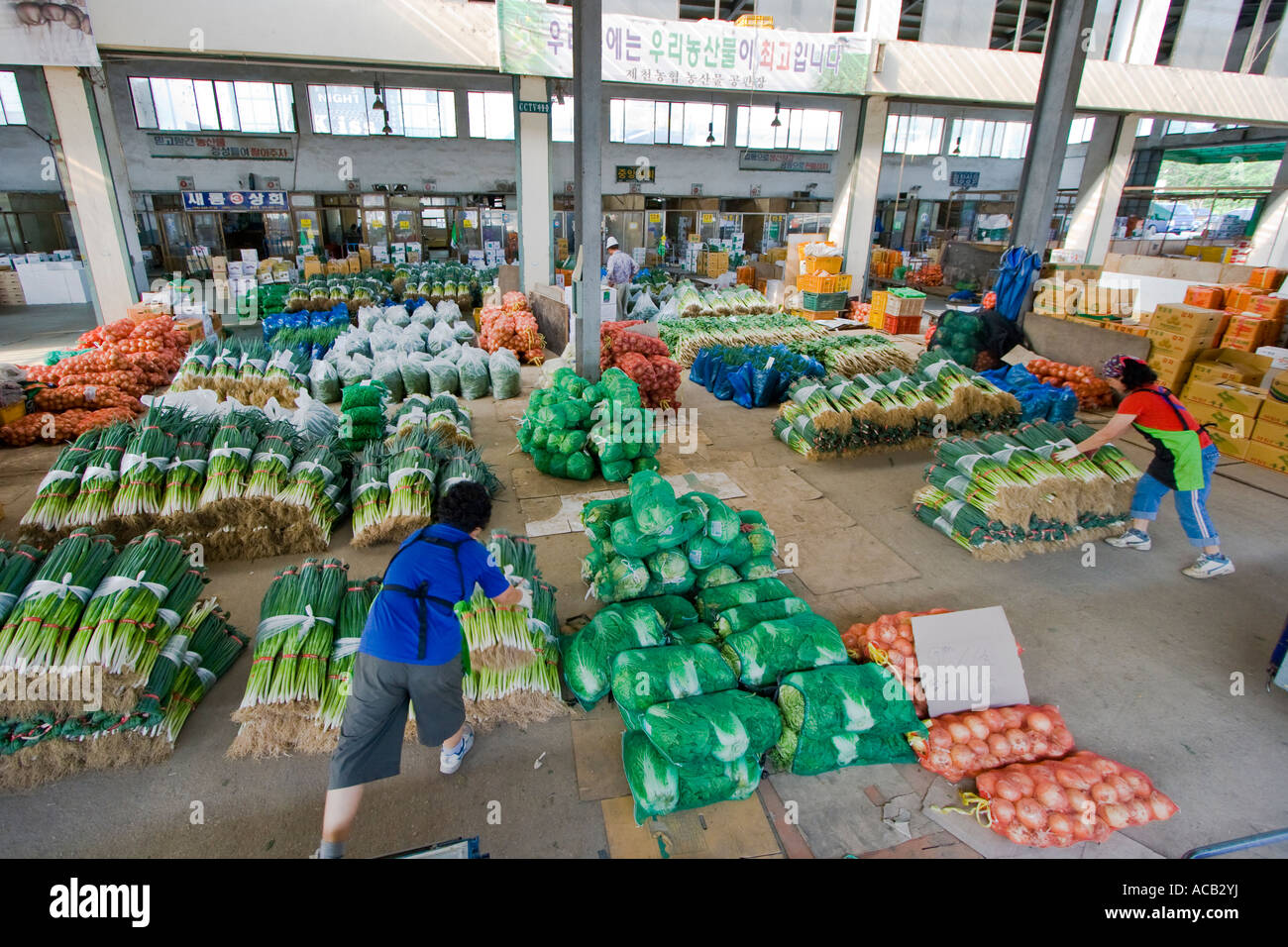 Fresh Vegetables in Warehouse Co op Produce Consolidator Jecheon