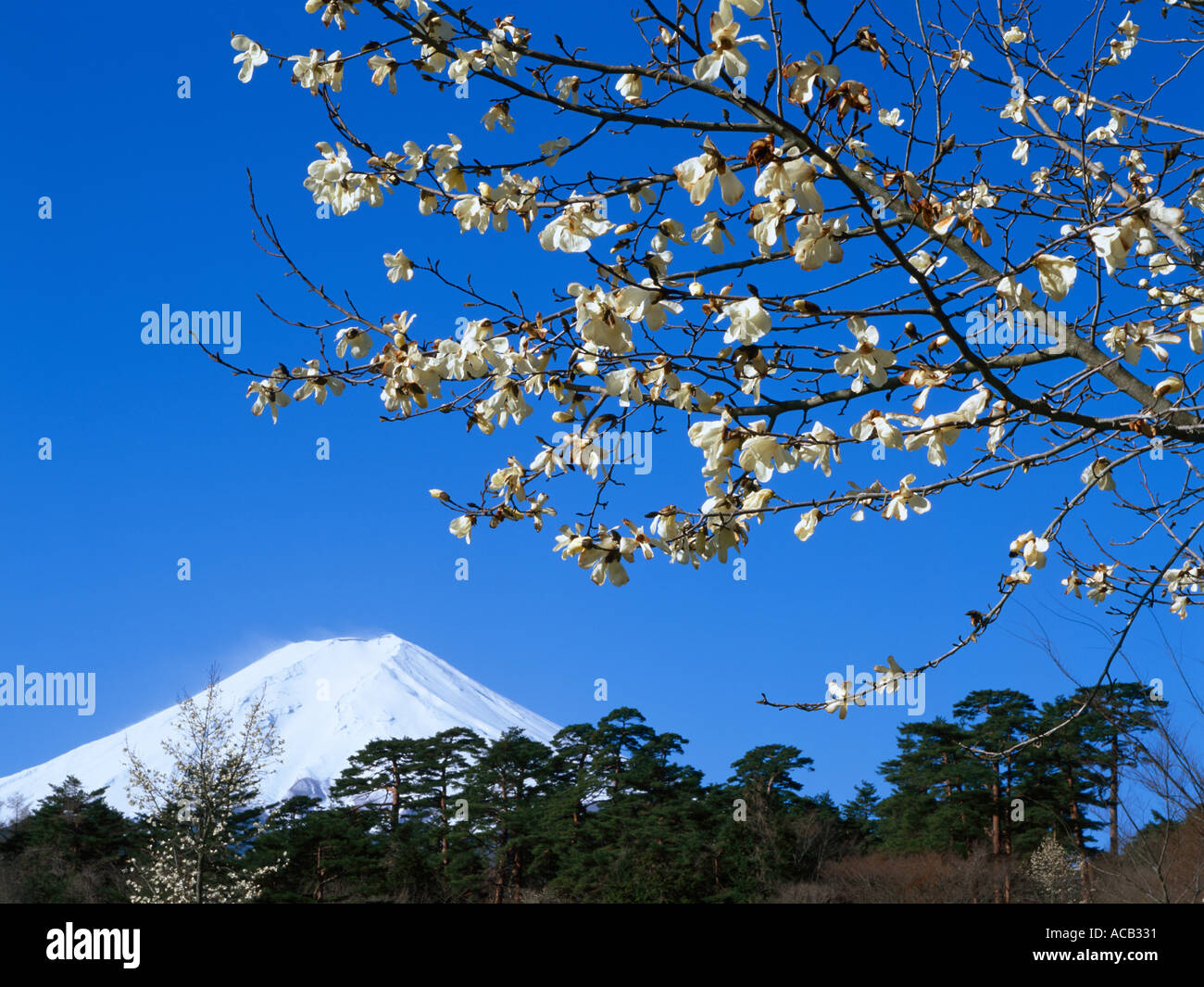 Fujiyama Mt Fuji Stock Photo