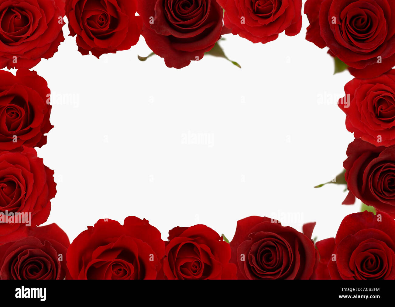 Frame of red roses Stock Photo