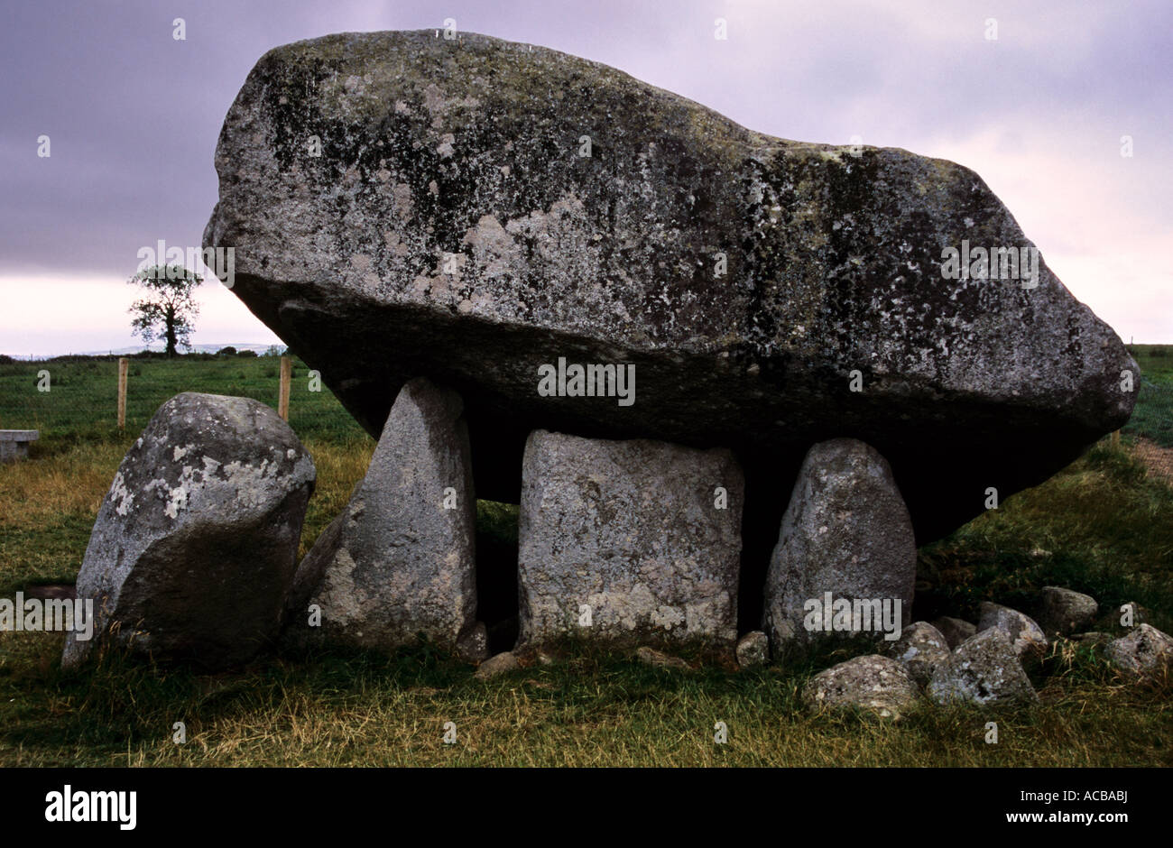 Brownes Hill dolmen,County Carlow, Republic of Ireland Stock Photo