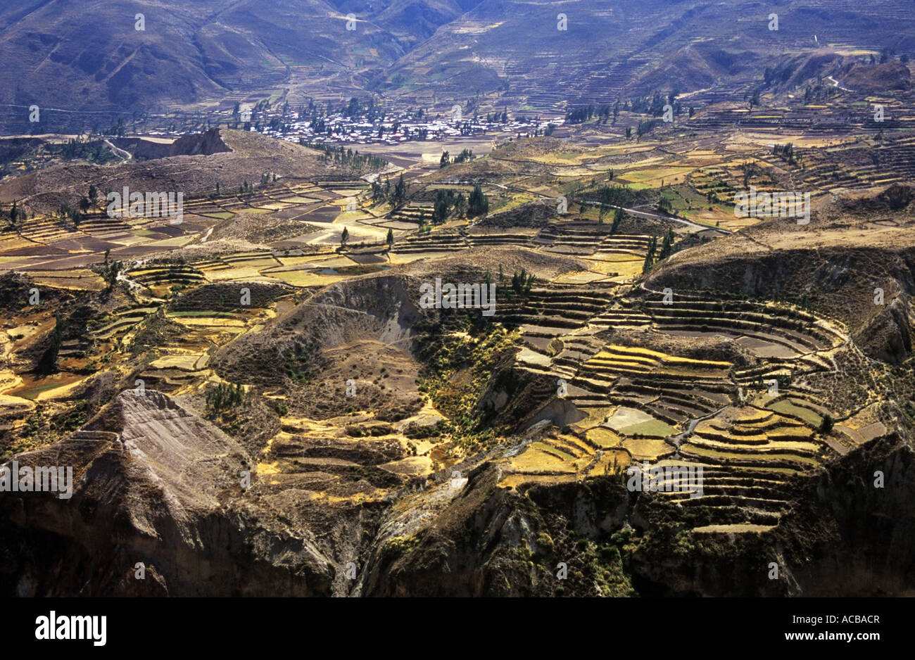 Colca Canyon Agriculture Terraces Hi res Stock Photography And Images 