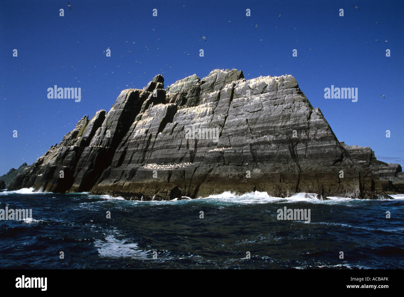 The island of Little Skellig and its population of gannets, off the Coast of Kerry, Republic of Ireland. Stock Photo