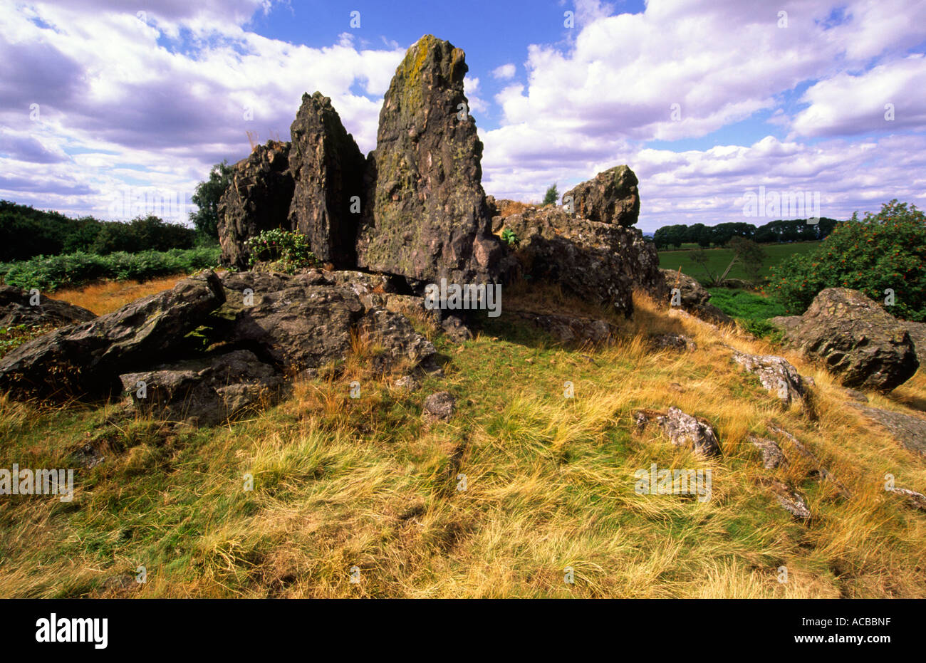 Ancient Rock Formation Known As Bomb Rocks In Charnwood Forest In The   Ancient Rock Formation Known As Bomb Rocks In Charnwood Forest In ACBBNF 