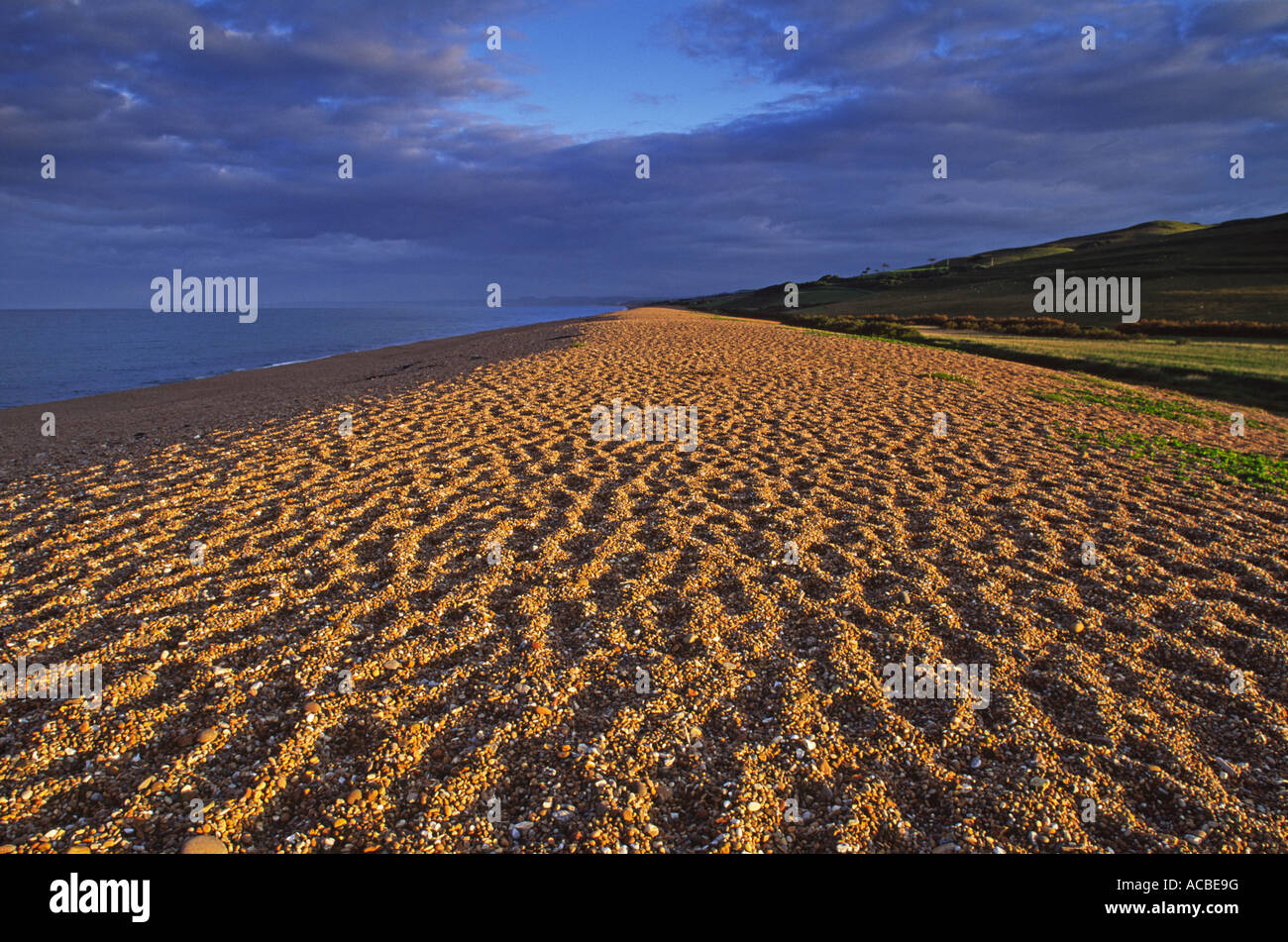 Chesil Beach, Jurassic Coast, Dorset, England, UK Stock Photo Alamy