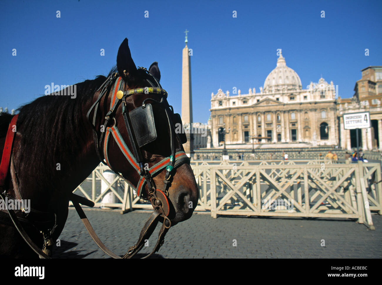 Peter Roma Slatington S peter rome hi-res stock photography and images - Alamy