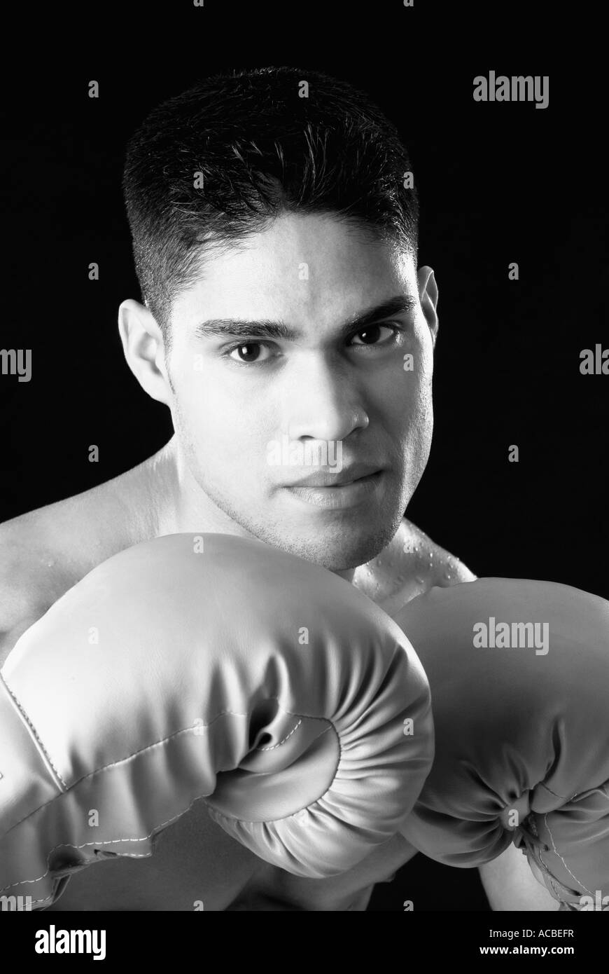 Portrait of a boxer wearing boxing gloves Stock Photo Alamy
