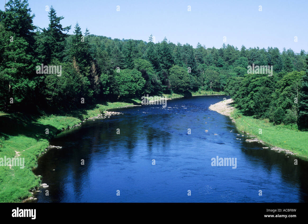 River Spey, Carron near Aberlour, Speyside, Scotland, UK, scenery