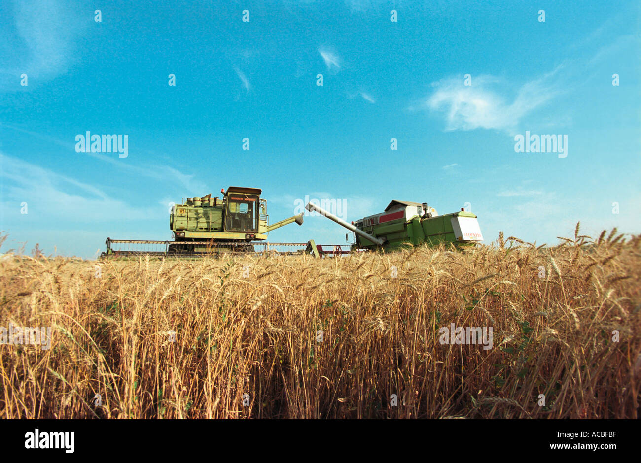 Dominator combine harvester hi-res stock photography and images - Alamy