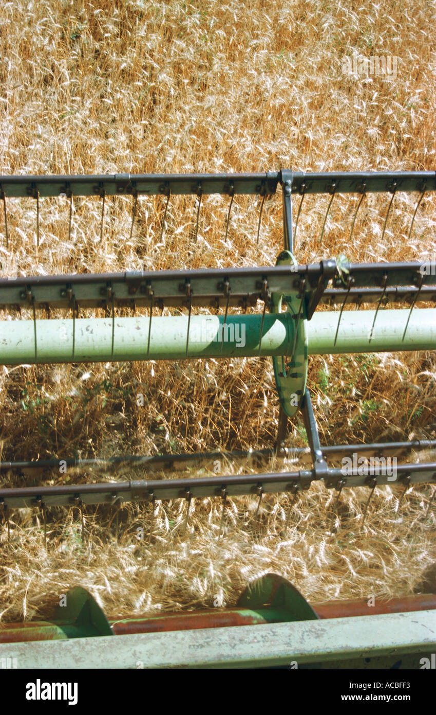 Dominator combine harvester hi-res stock photography and images - Alamy