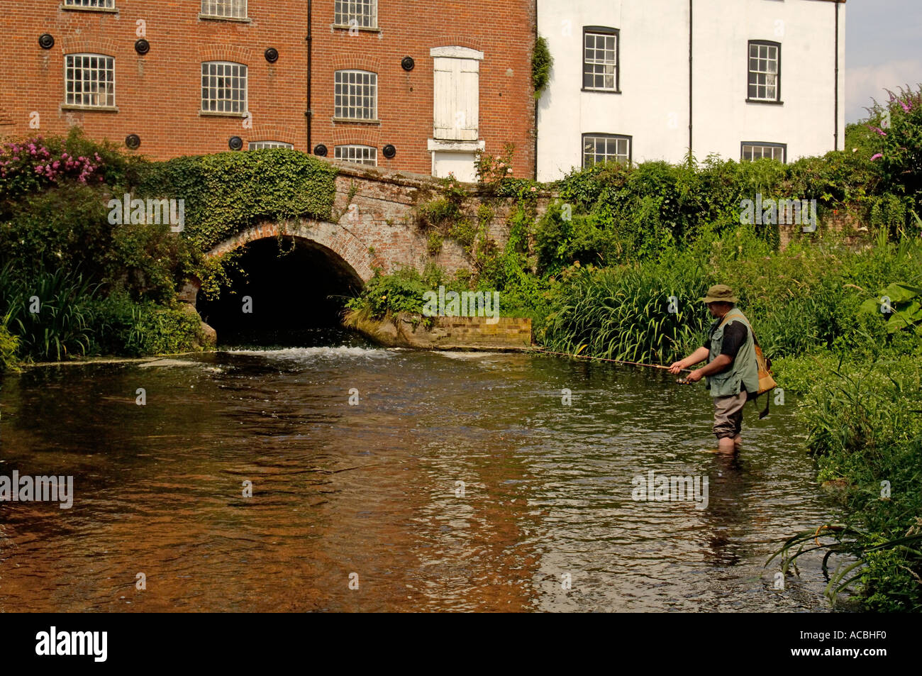 Man Fishing for brown trout in the river Wensum Norfolk UK Stock Photo: 4277743 - Alamy