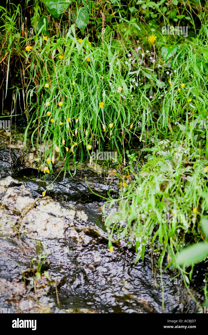 Mountain trail Stock Photo