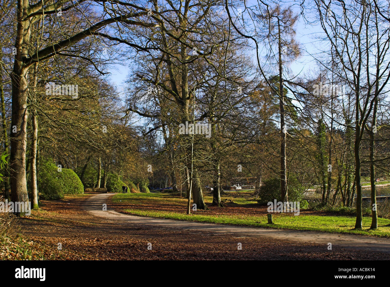 A road near the Shearwater lake on the Longleat estate in Wiltshire, England Stock Photo
