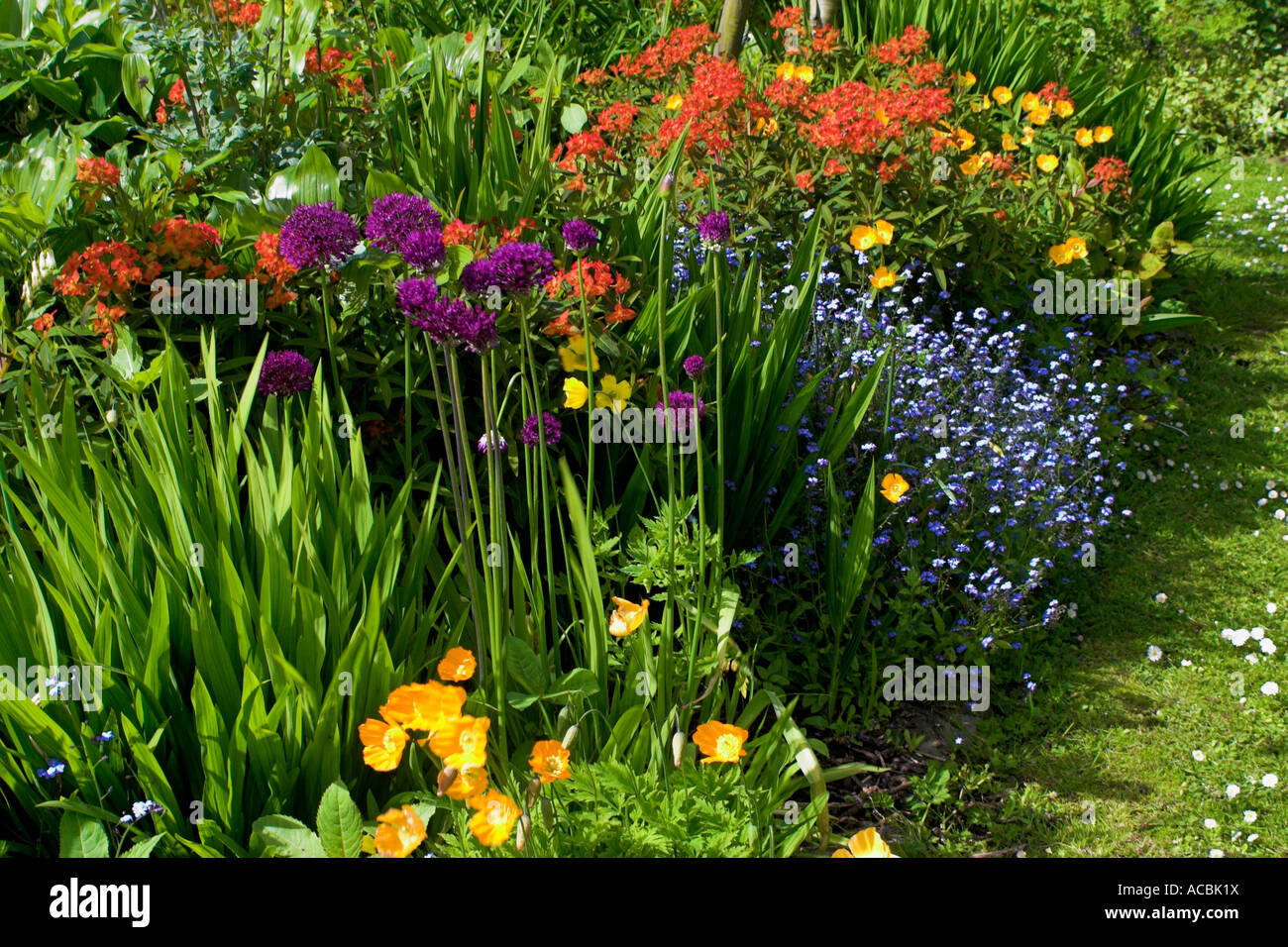 Country Garden Flowers Stock Photo Alamy