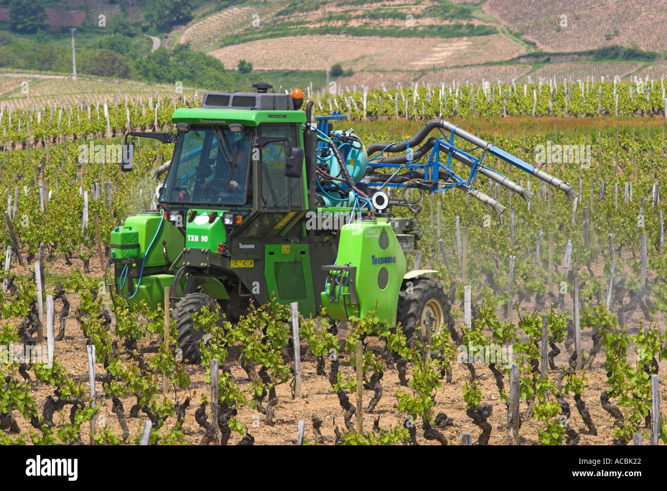 Spraying the Vines in the Beaujolais region of France Stock Photo