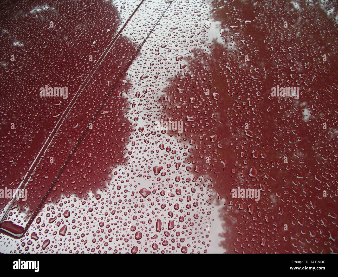 Water beads waxed car hires stock photography and images Alamy