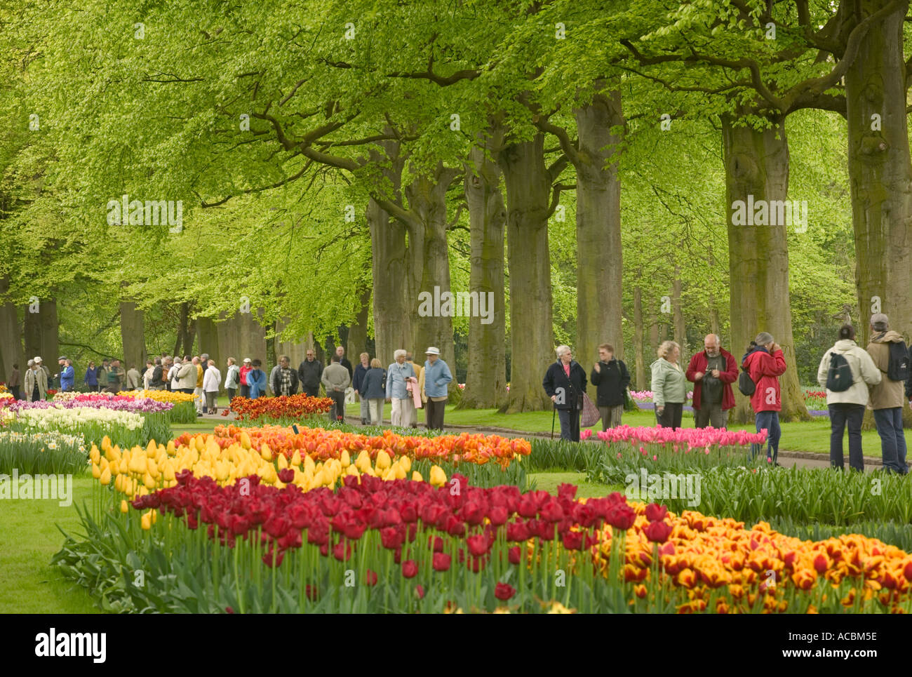 The Keukenhof Gardens in Holland. Stock Photo