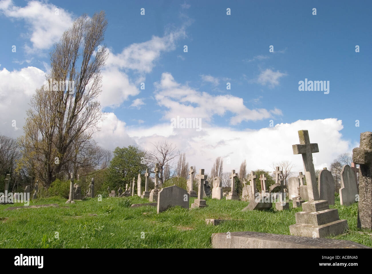 Gravestones in Kensal Green Cemetery. London, England Stock Photo Alamy