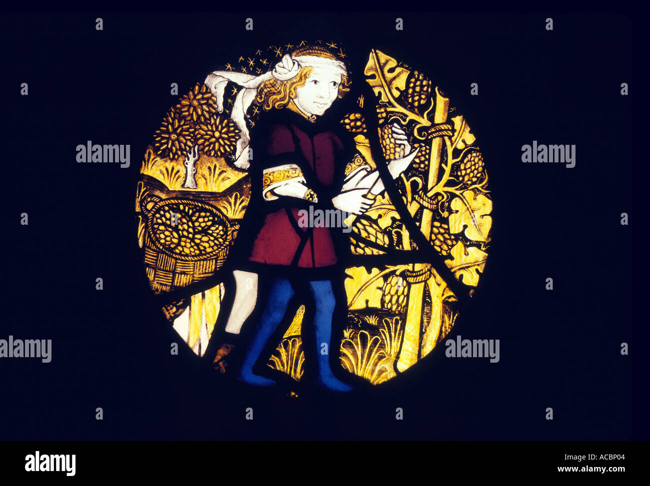 Stained Glass Roundel Grape Harvesting Stock Photo