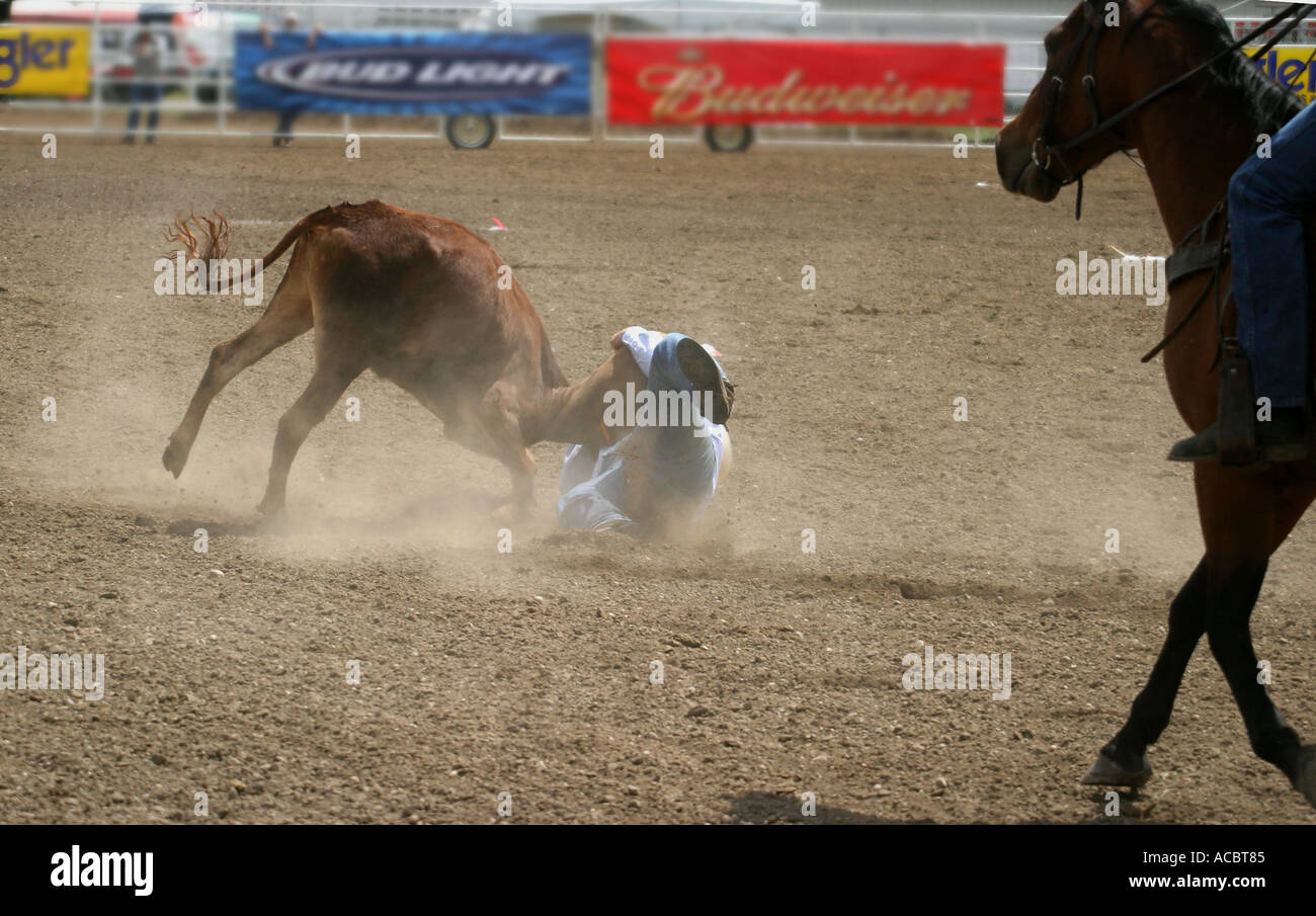Black tears horse hires stock photography and images Alamy