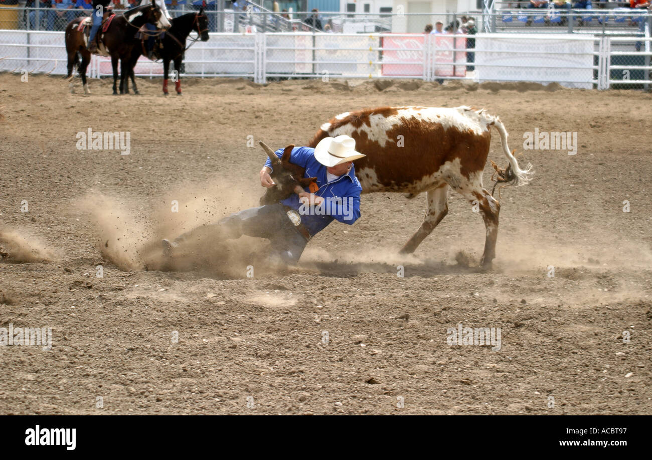 Black tears horse hires stock photography and images Alamy