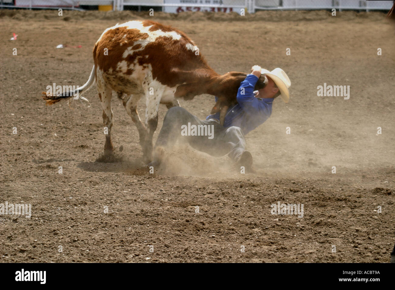 Black tears horse hires stock photography and images Alamy
