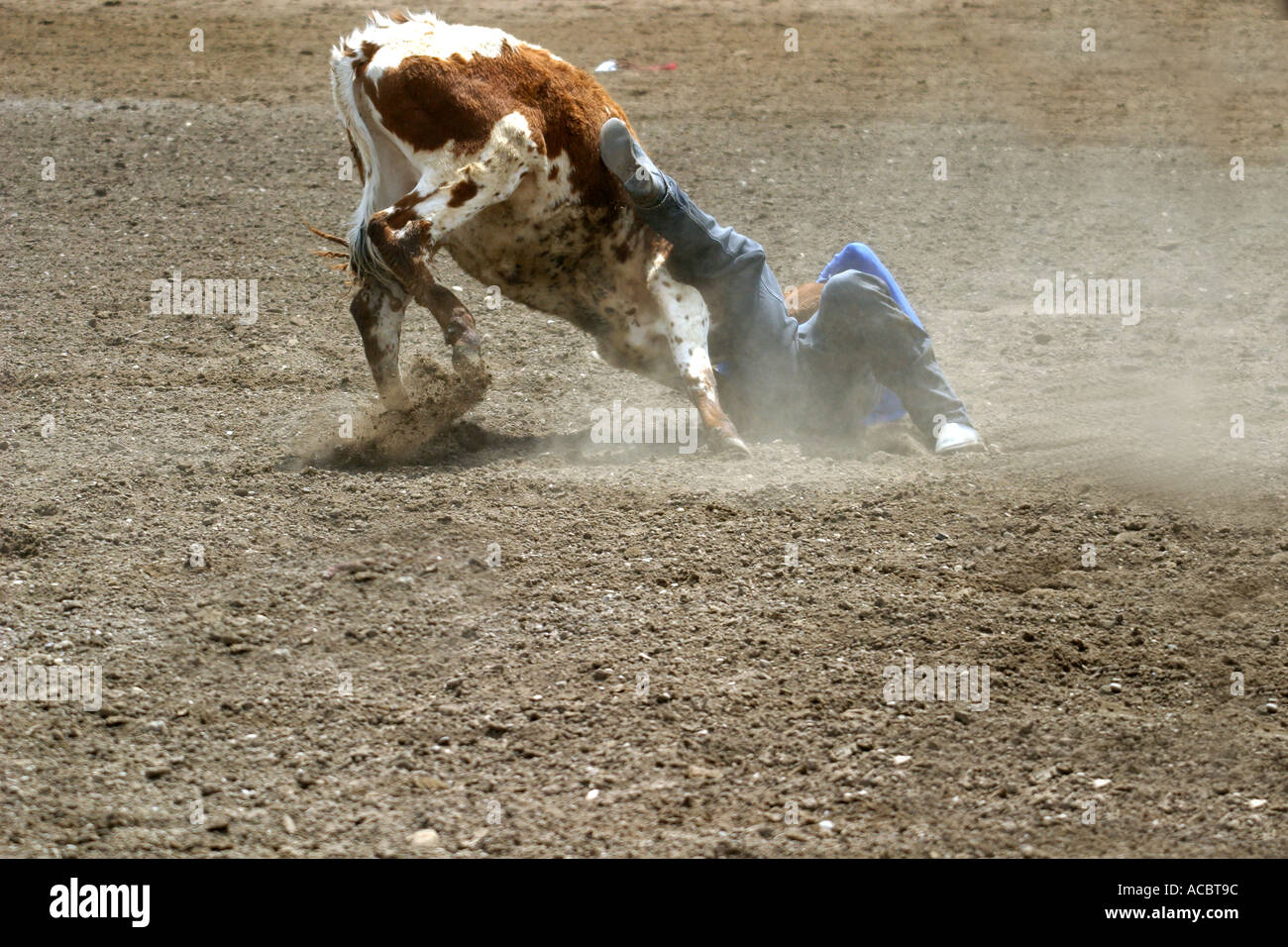 Black tears horse hires stock photography and images Alamy