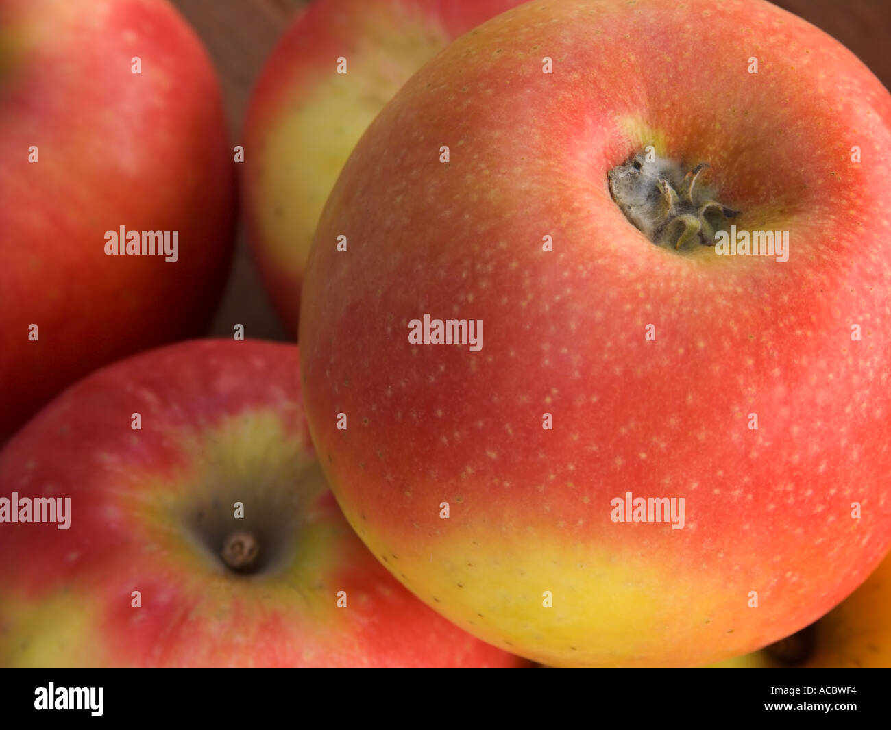 Pink Lady Apples Stock Photo Alamy