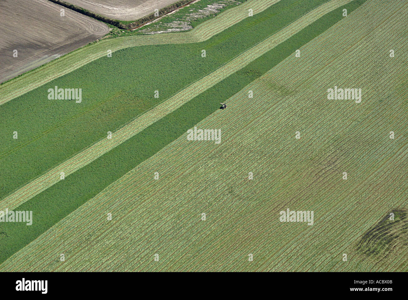 Aerial photo of farmer on tractor harvesting Alfalfa Stock Photo - Alamy