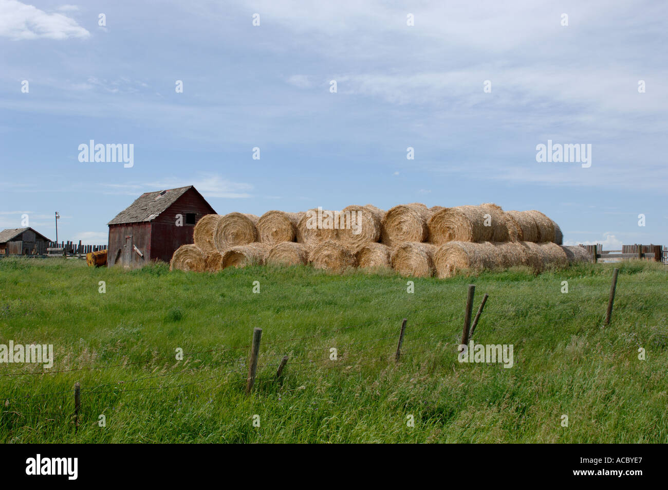 hay stacks and shed Kneehill M D 48 Southern Alberta Canada Stock Photo