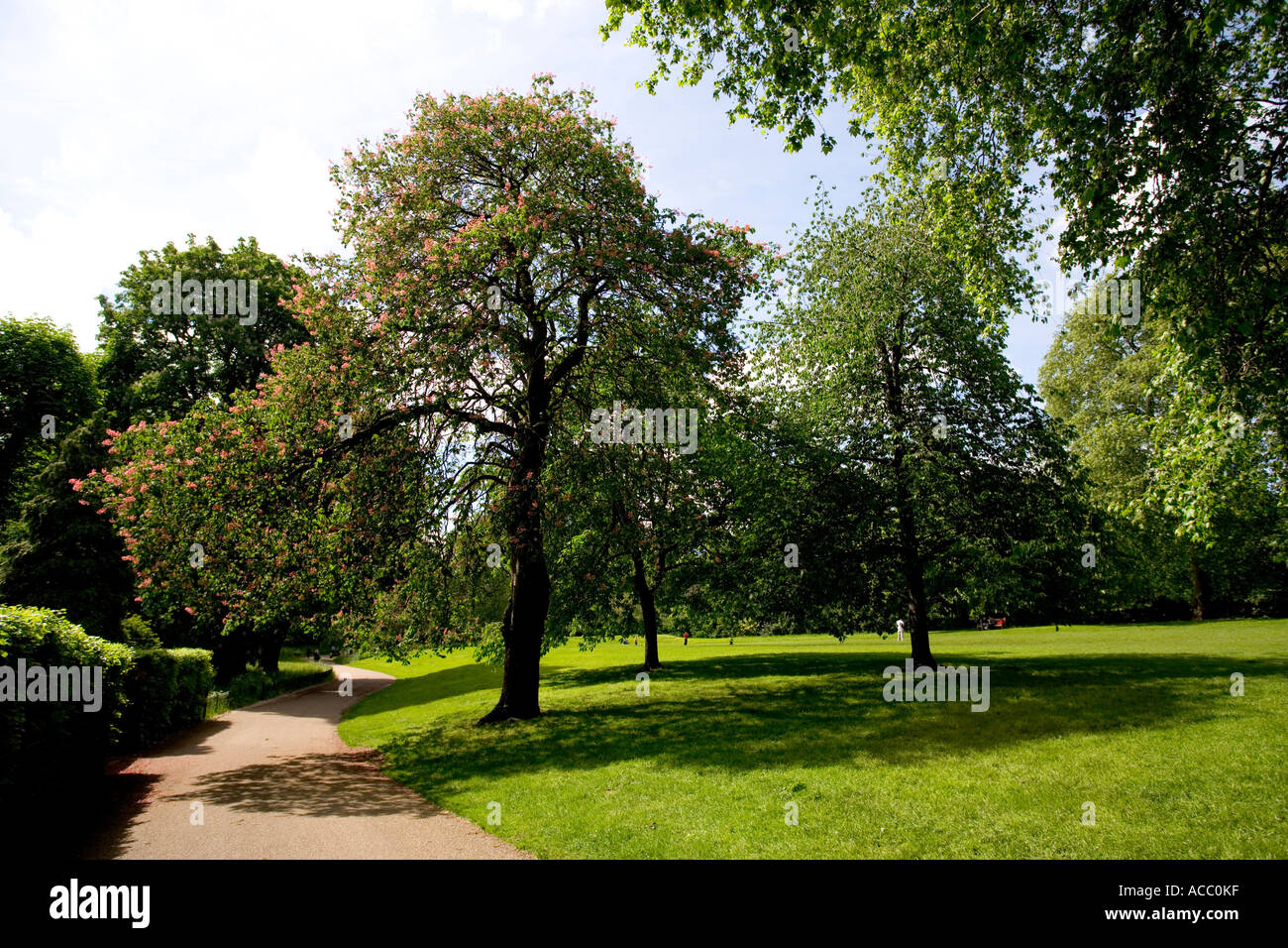 Hyde Park London Summer Stock Photo - Alamy