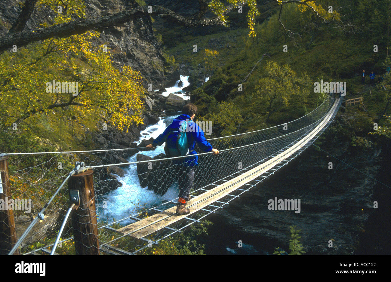 Hiker Crossing A Suspension Bridge Aurland Valley Norway Stock Photo Alamy