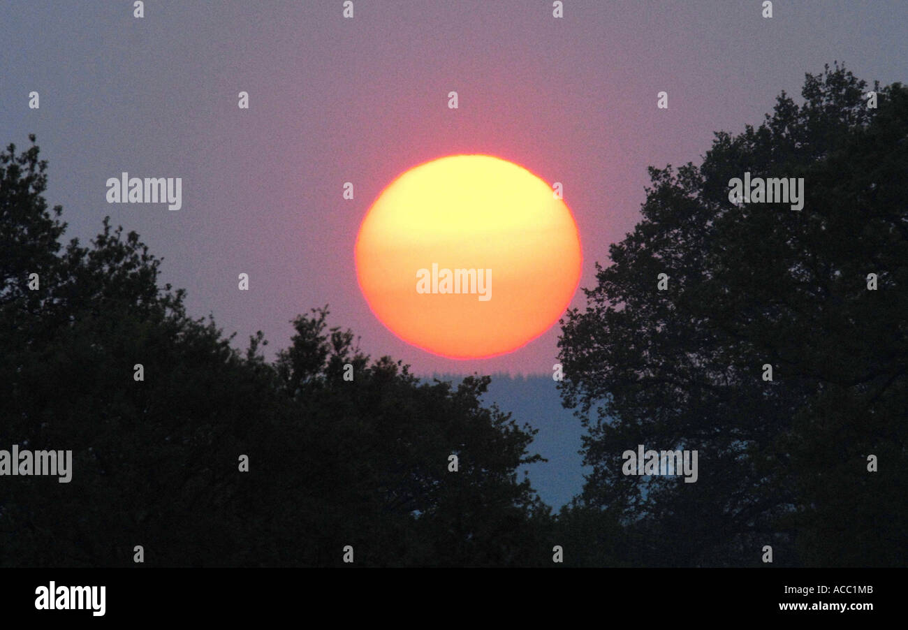 The sun a red sun at sunset Stock Photo