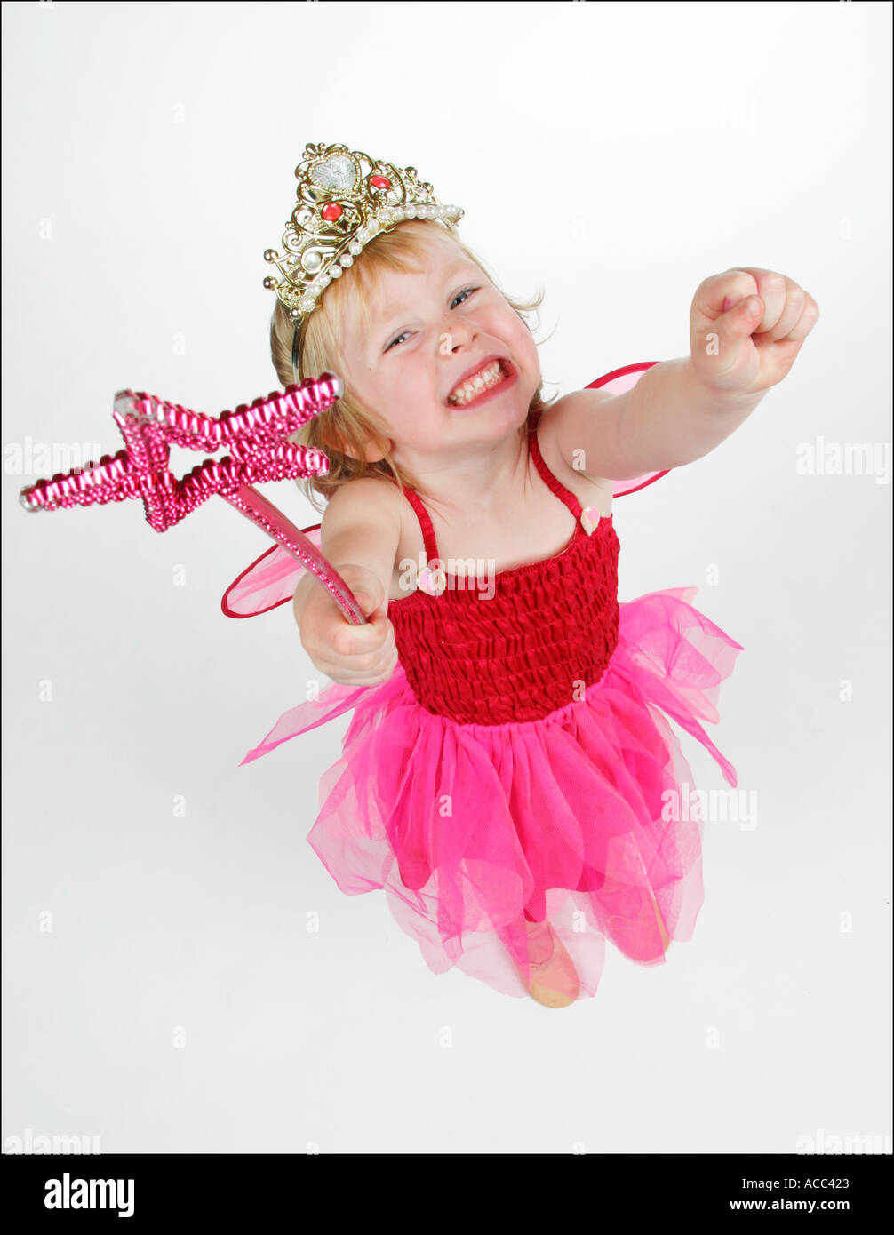 Fairy wand and crown outlet