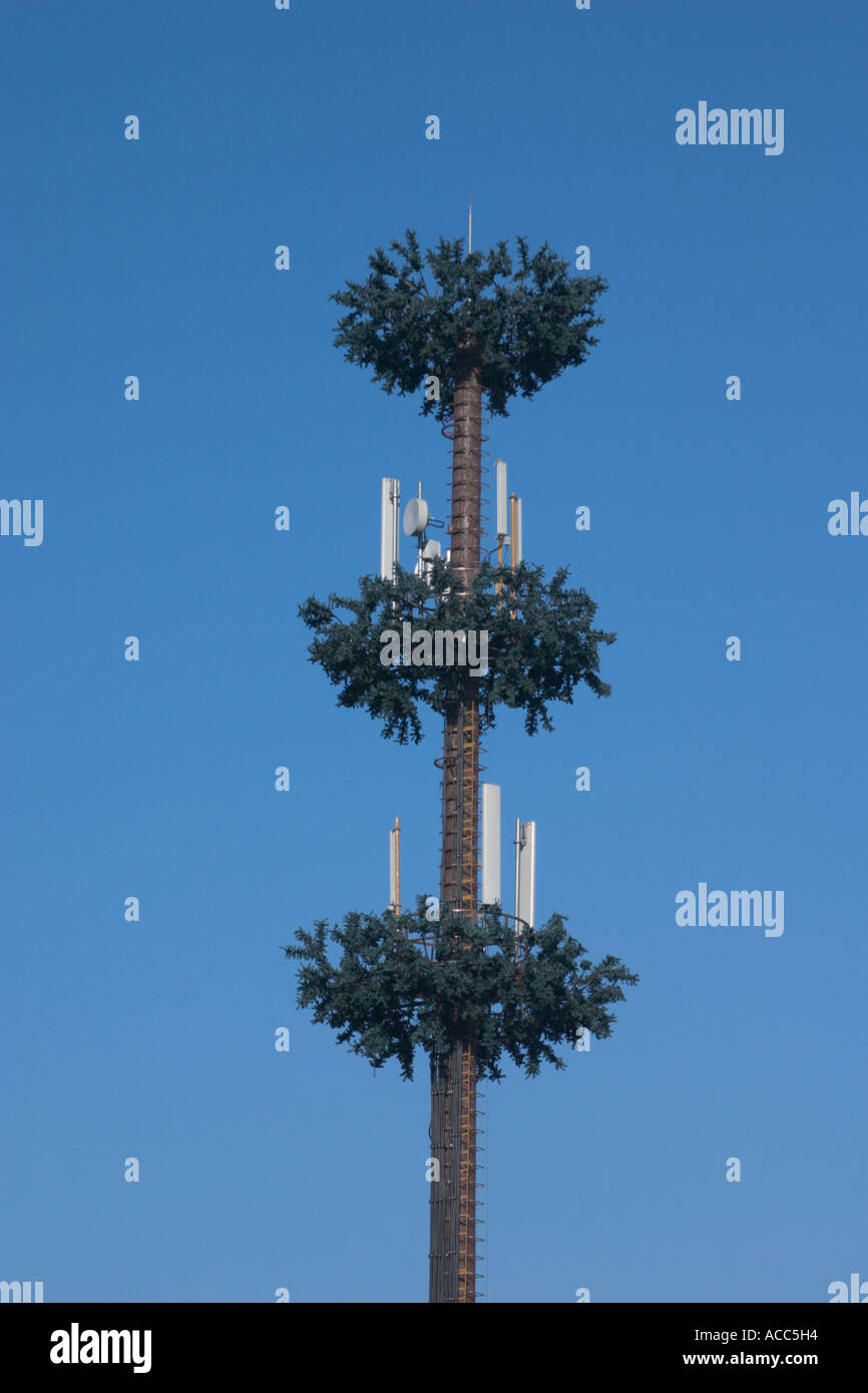 mobile phone antenna tower shaped like a tree Stock Photo Alamy