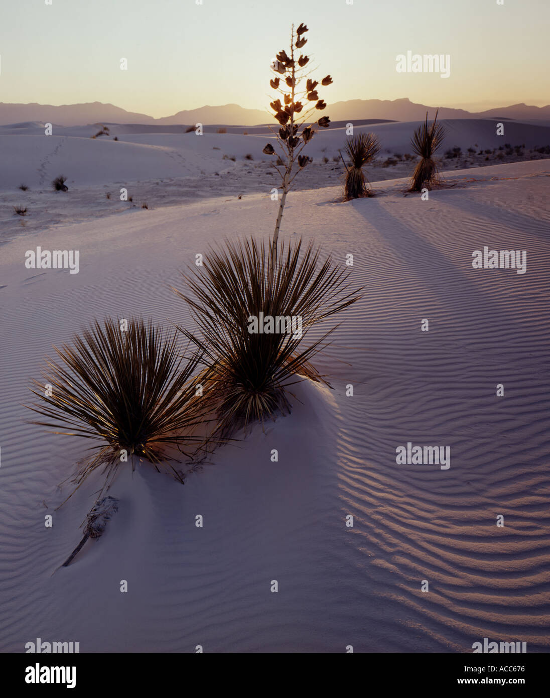 White Sands National Monument in New Mexico USA Stock Photo