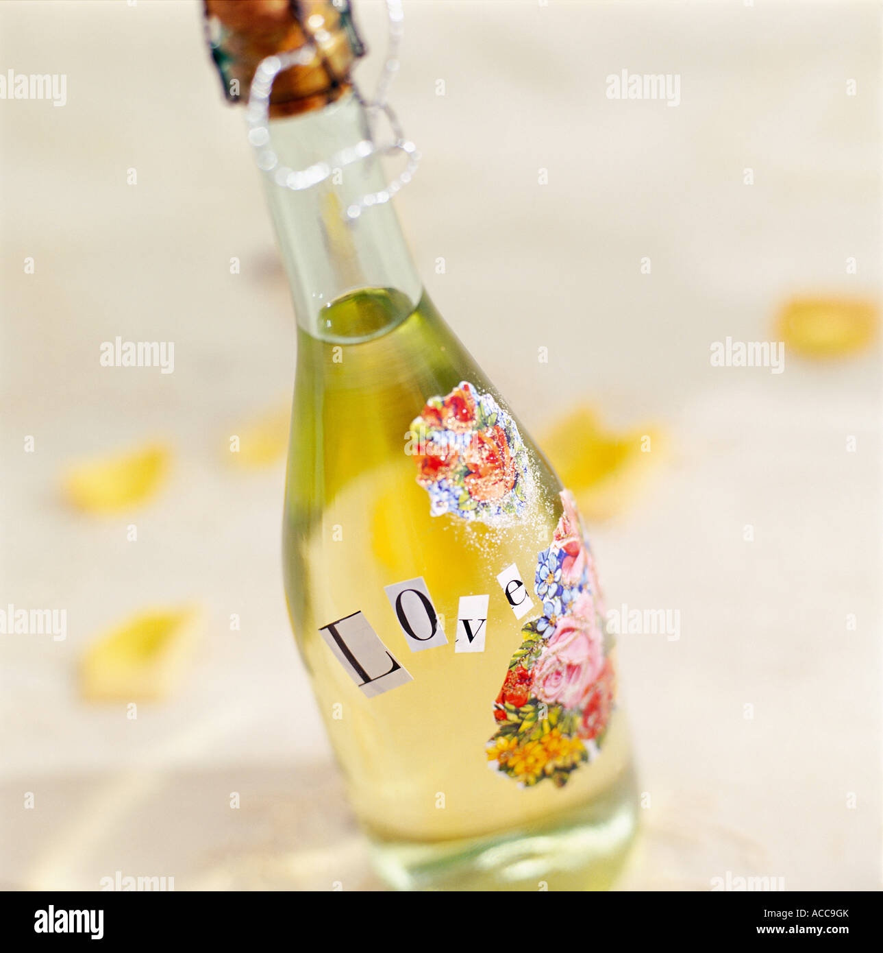 A bottle of sparkling wine Stock Photo Alamy