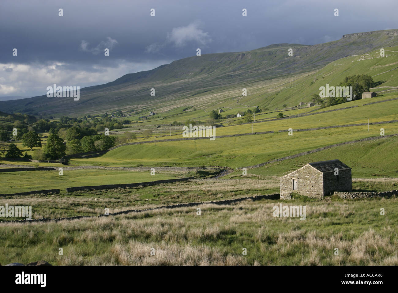 The wildflower meadows below Mallerstang Edge in the Upper Eden Valley, Cumbria, North Pennines Stock Photo