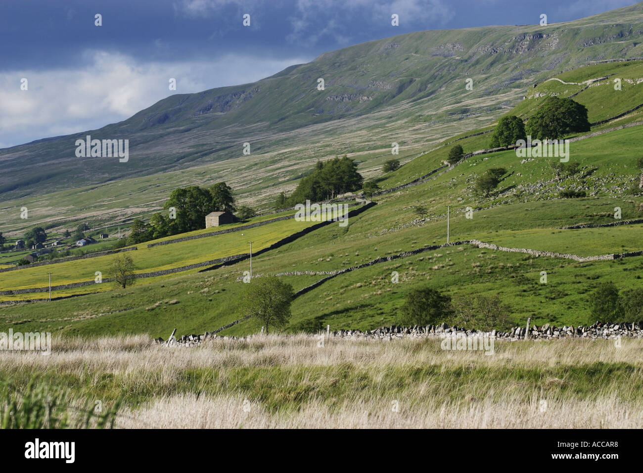 The wildflower meadows below Mallerstang Edge in the Upper Eden Valley, Cumbria, North Pennines Stock Photo