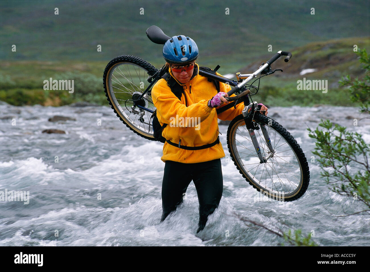 A woman carrying a bicycle in water Stock Photo Alamy