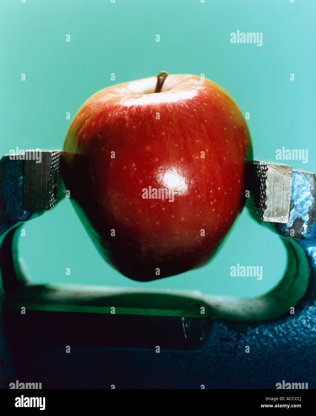 Vice grip hires stock photography and images Alamy