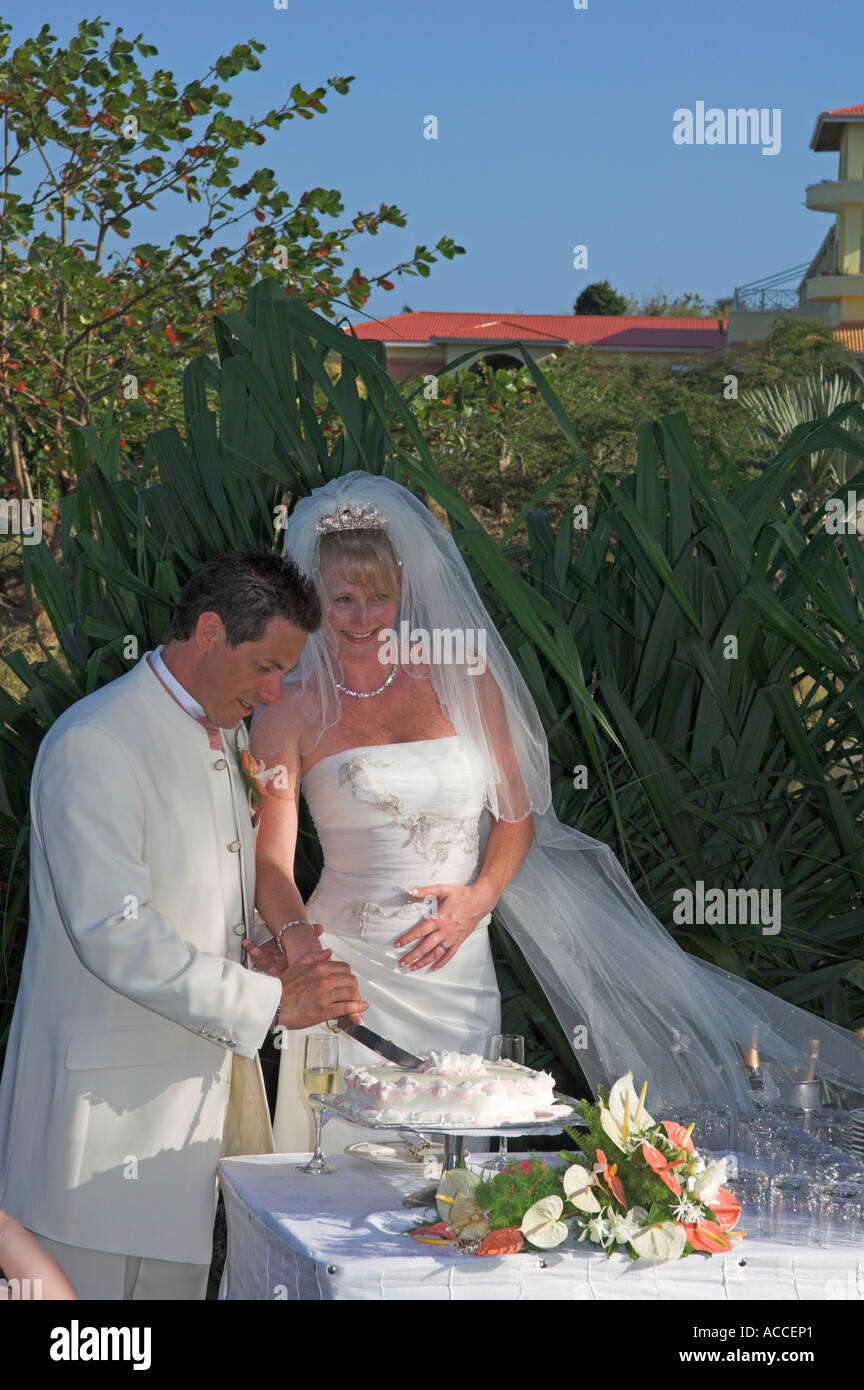 Bride and groom cutting wedding cake Stock Photo
